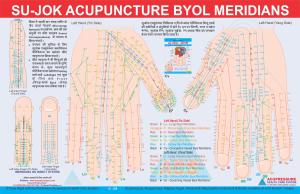 ACS Sujok Therapy Chart-Set of 3 Size 20 image